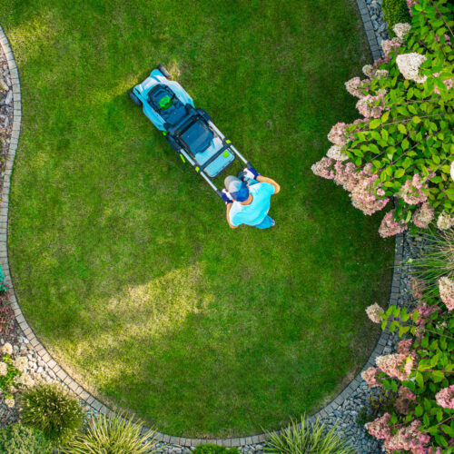 A person is mowing a perfectly shaped circular lawn in a vibrant garden filled with lush green plants and blooming flowers on a sunny day.